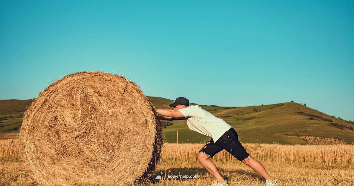 No Motor Mower Guide - Mower Help