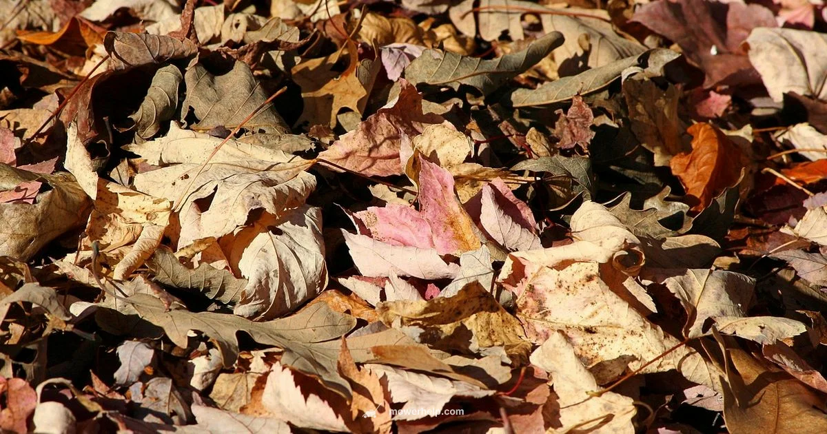 Leaf Mulching Guide - Mower Help