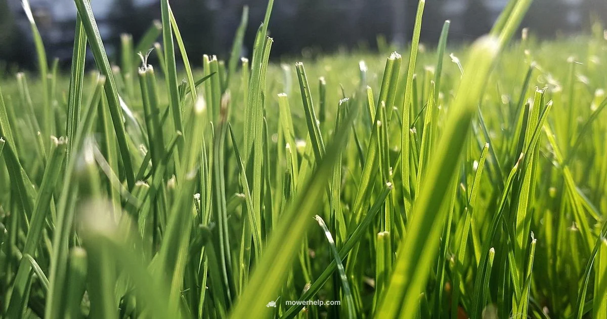 Blade Sharpening Guide Blade Sharpening Guide - Mower Help