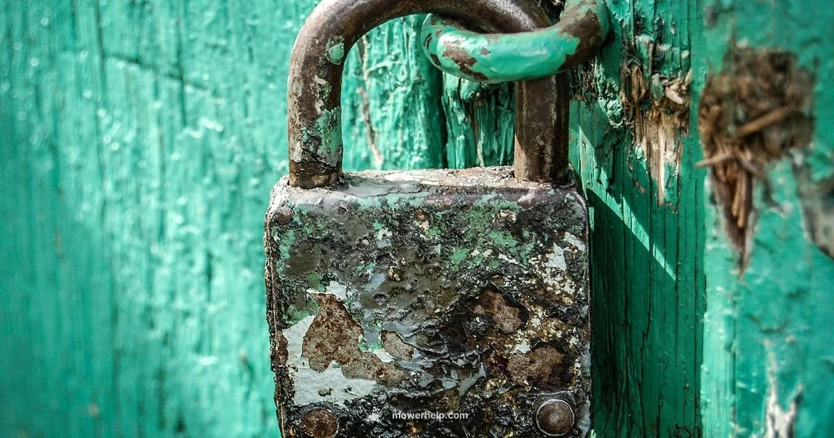 Locked Mower Fix Guide - Mower Help