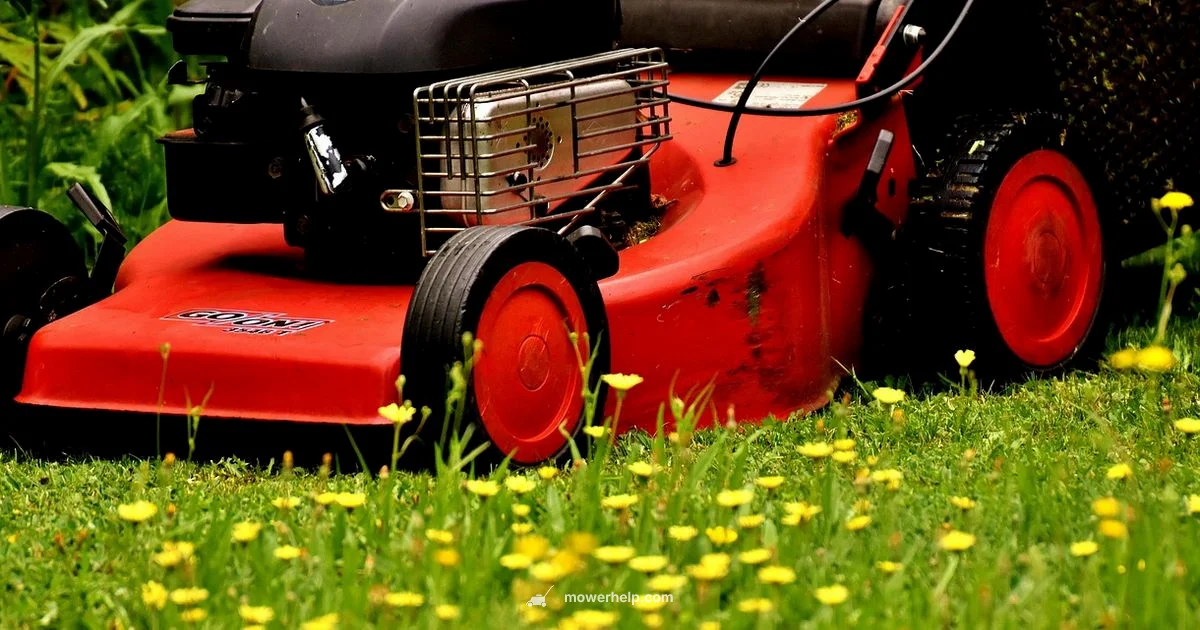 Lawn Mower Financing Lawn Mower Financing - Mower Help