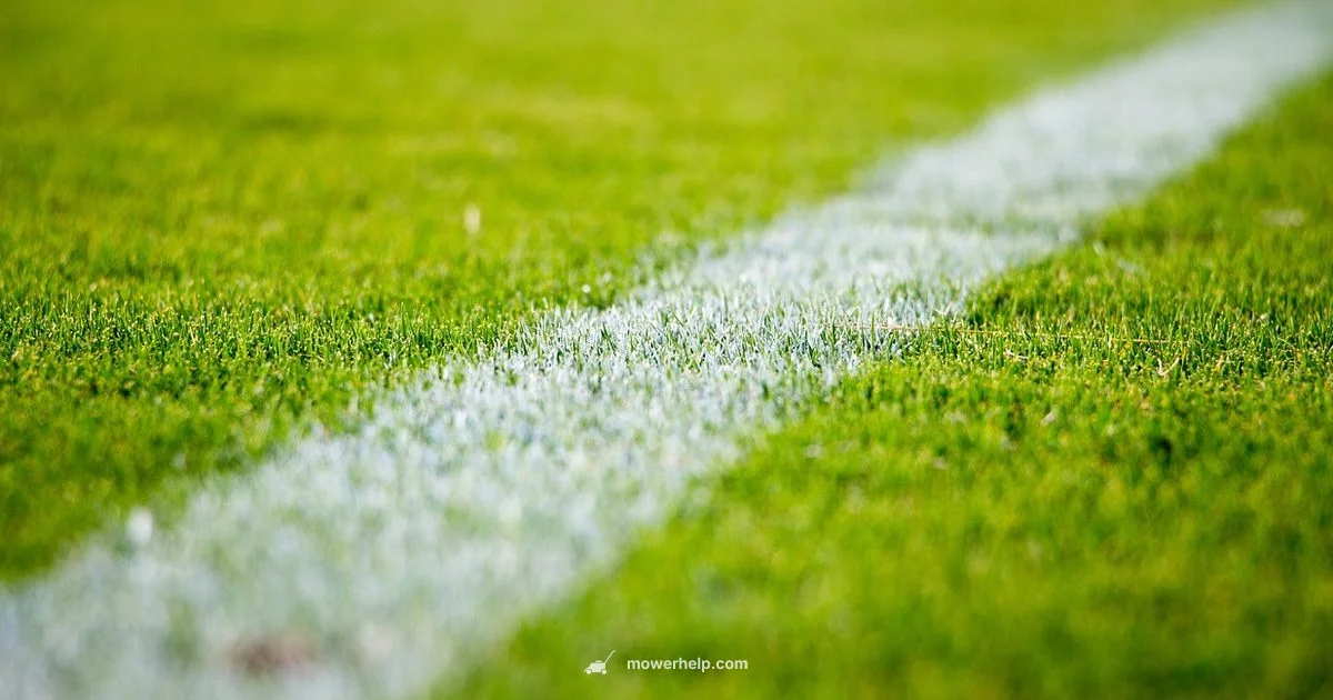 Greenworks Mower Guide - Mower Help