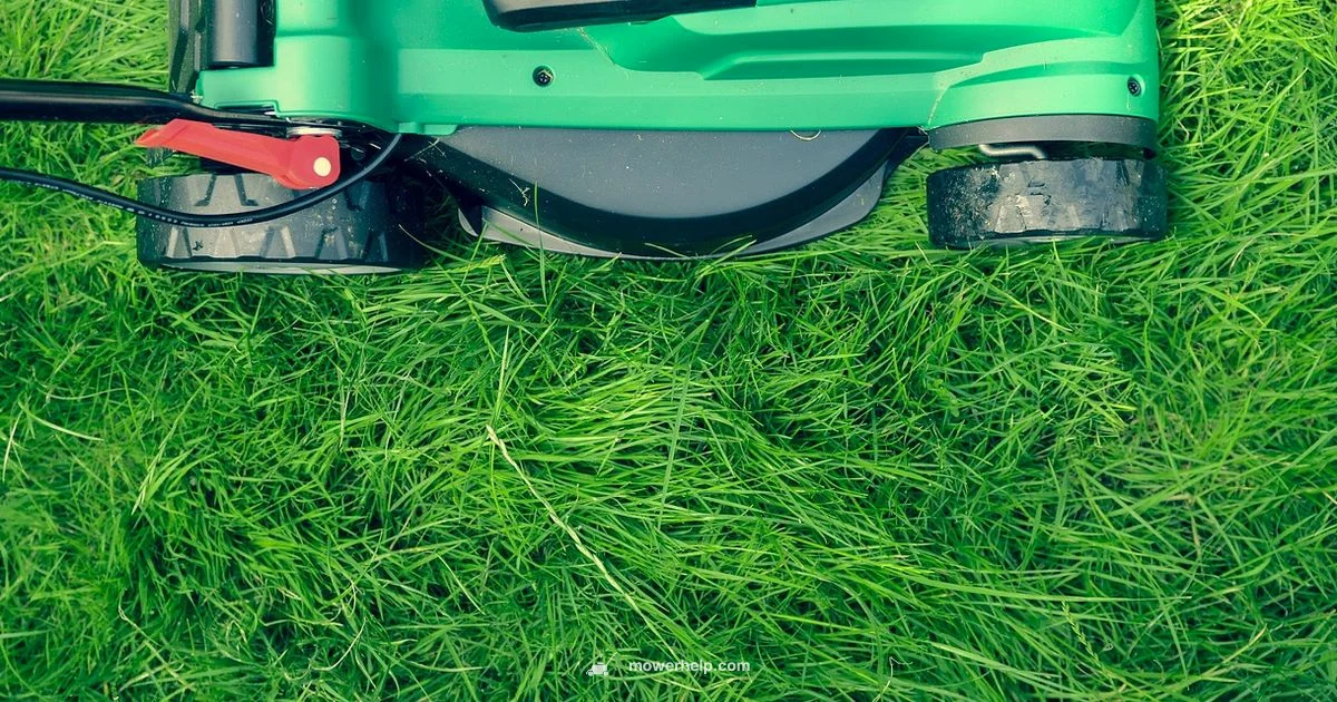 Maintaining Your Mower - Mower Help