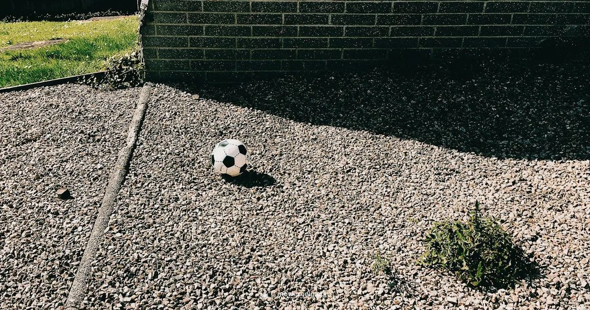 Electric Grass Cutter Guide - Mower Help