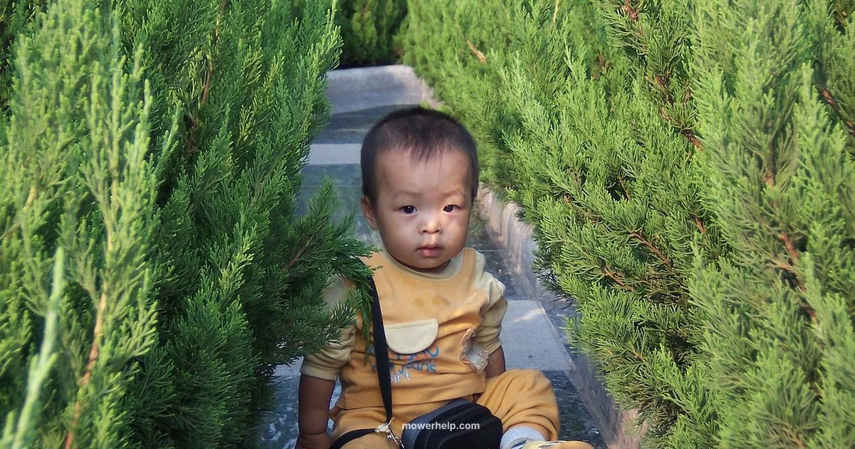 Mower Safety for Kids - Mower Help