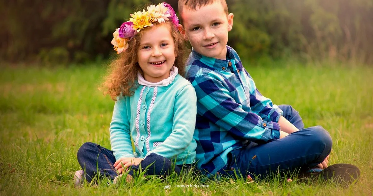 Lawn Mower Games - Mower Help