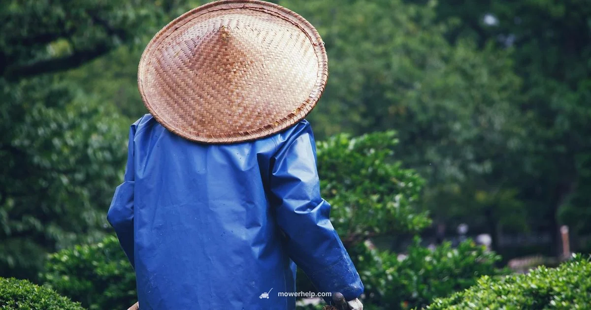 Start Yard King - Mower Help