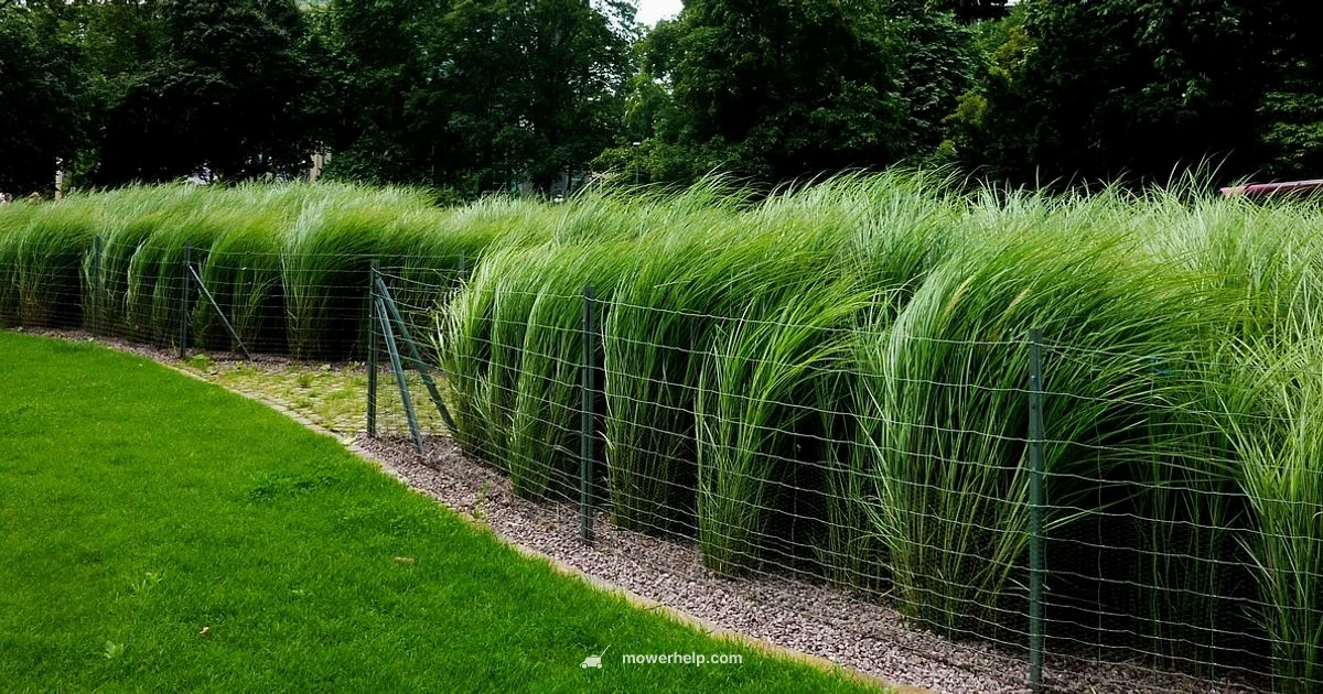 Blade Alignment Guide - Mower Help