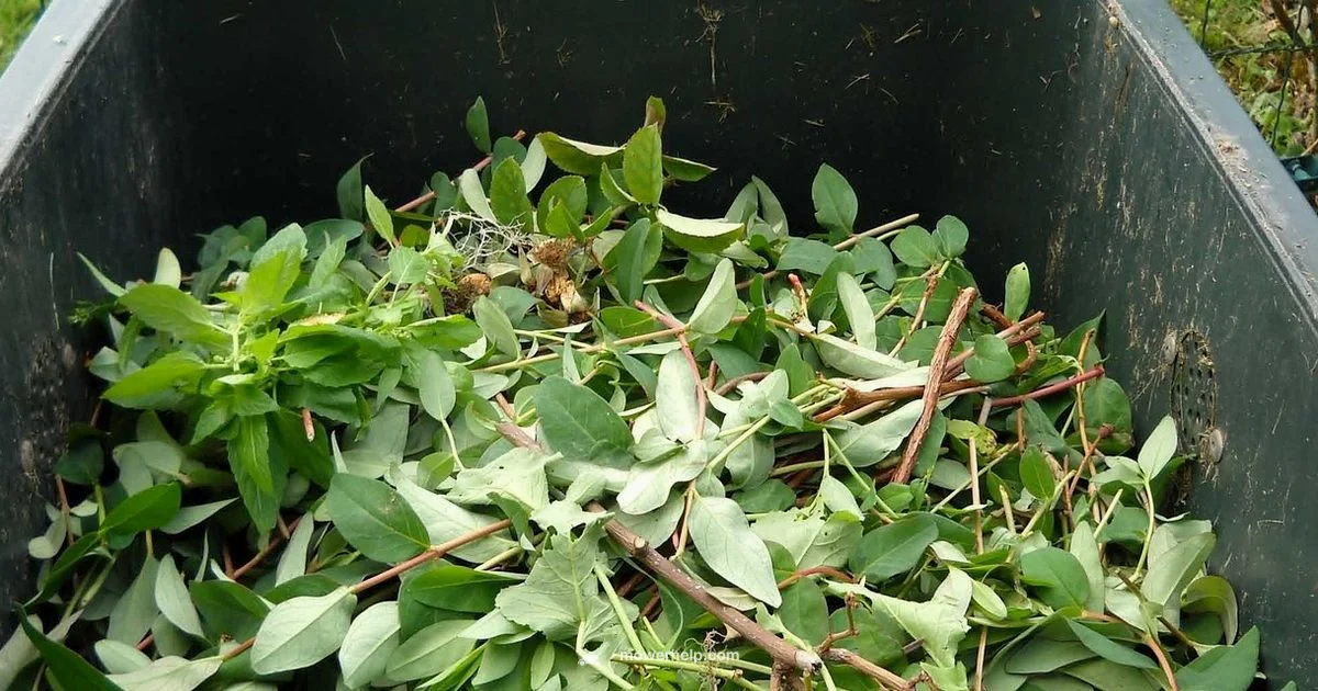 Free Disposal Guide Free Disposal Guide - Mower Help