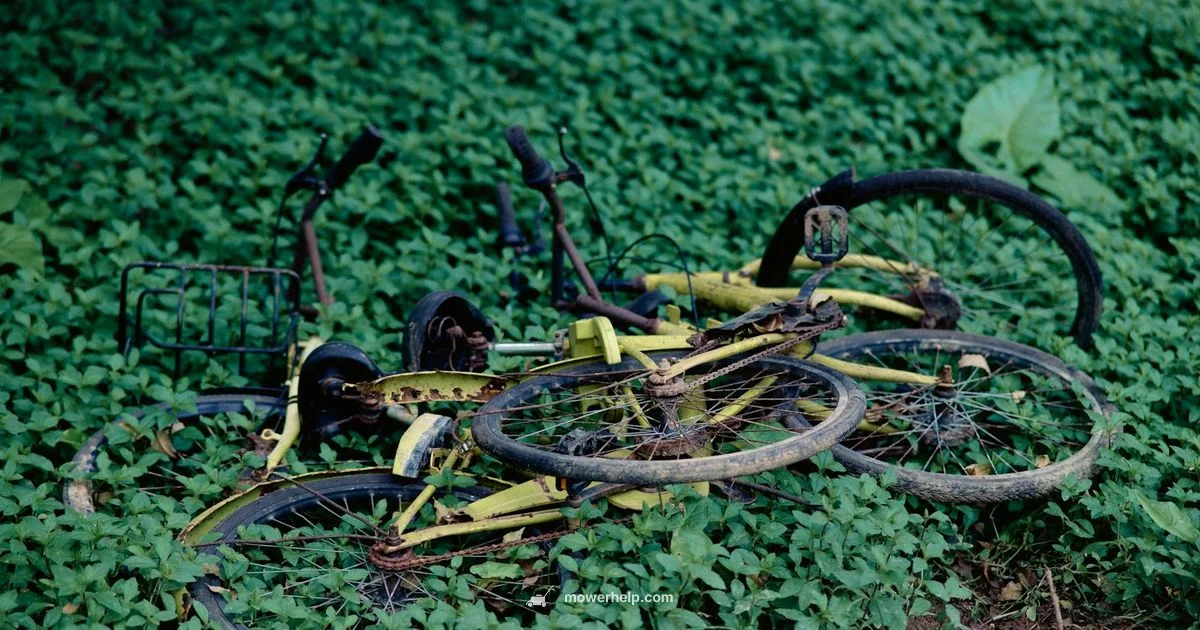 Rust Prevention Guide - Mower Help