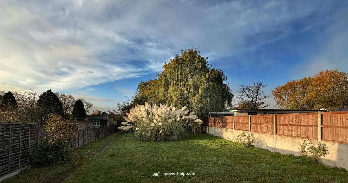 Walmart Lawn Mower Guide Walmart Lawn Mower Guide - Mower Help