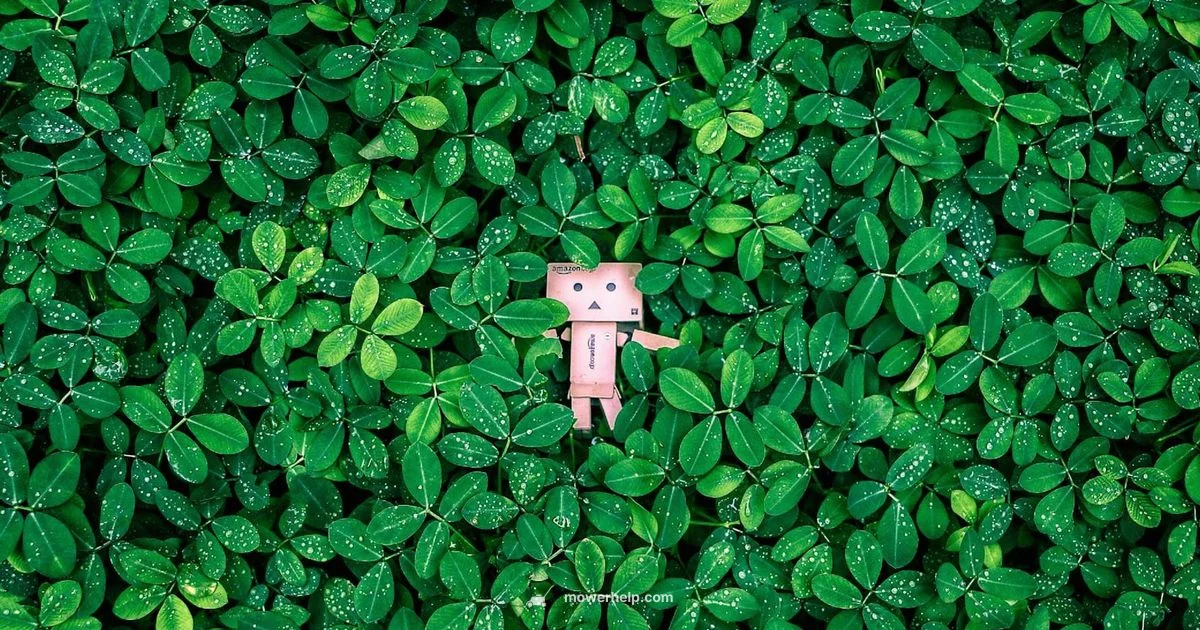 Budget Mower Picks - Mower Help