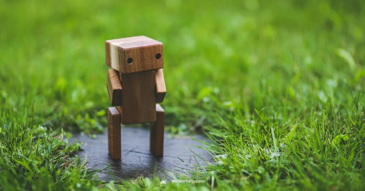 Robot Mower Basics Robot Mower Basics - Mower Help