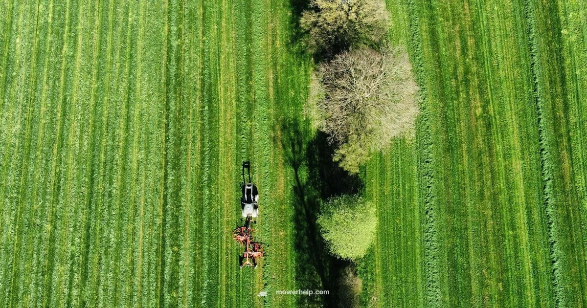 Cordless Mower Guide - Mower Help