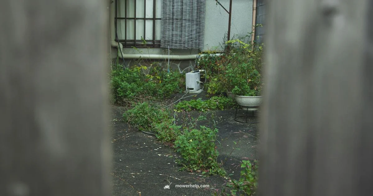 Toro Push Mower Guide Toro Push Mower Guide - Mower Help