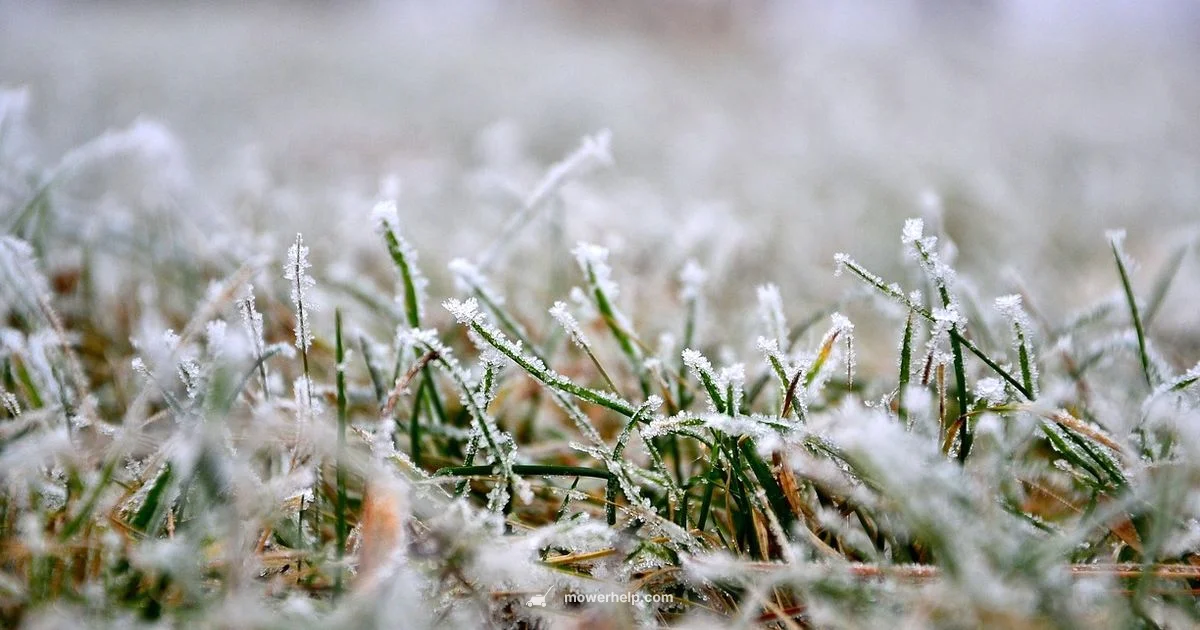 Winter Mower Prep Winter Mower Prep - Mower Help