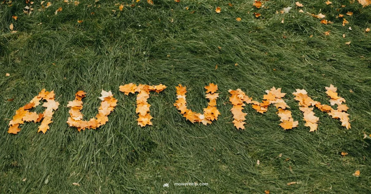 Leaf Mulch Guide - Mower Help