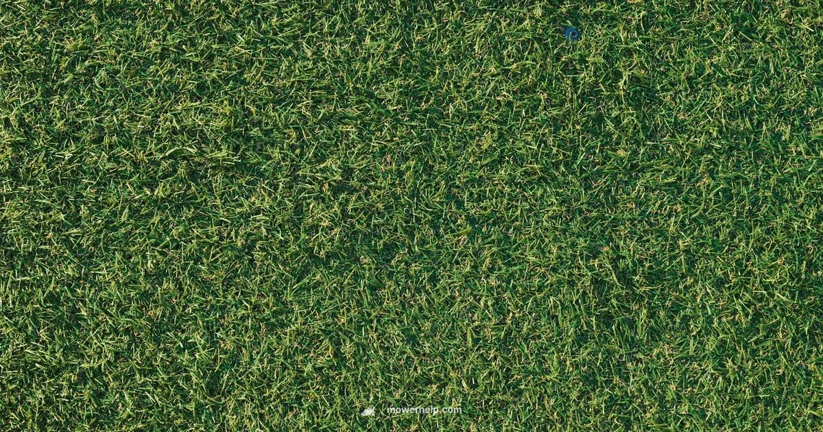 Exmark ZT Mastery - Mower Help