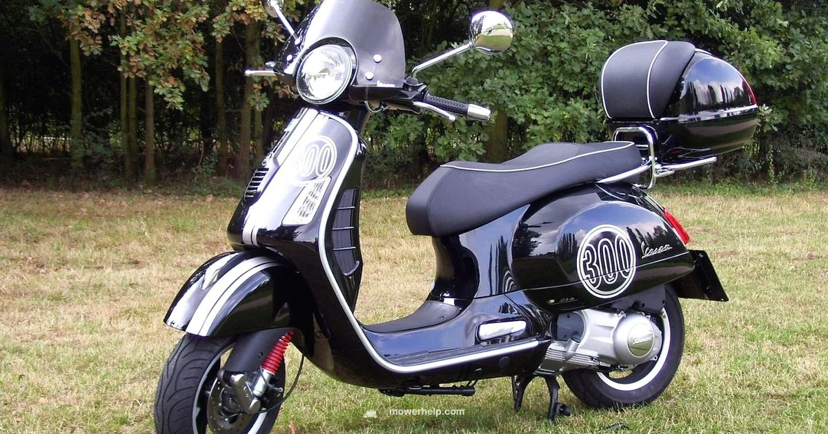 Toro GTS 150cc Review - Mower Help