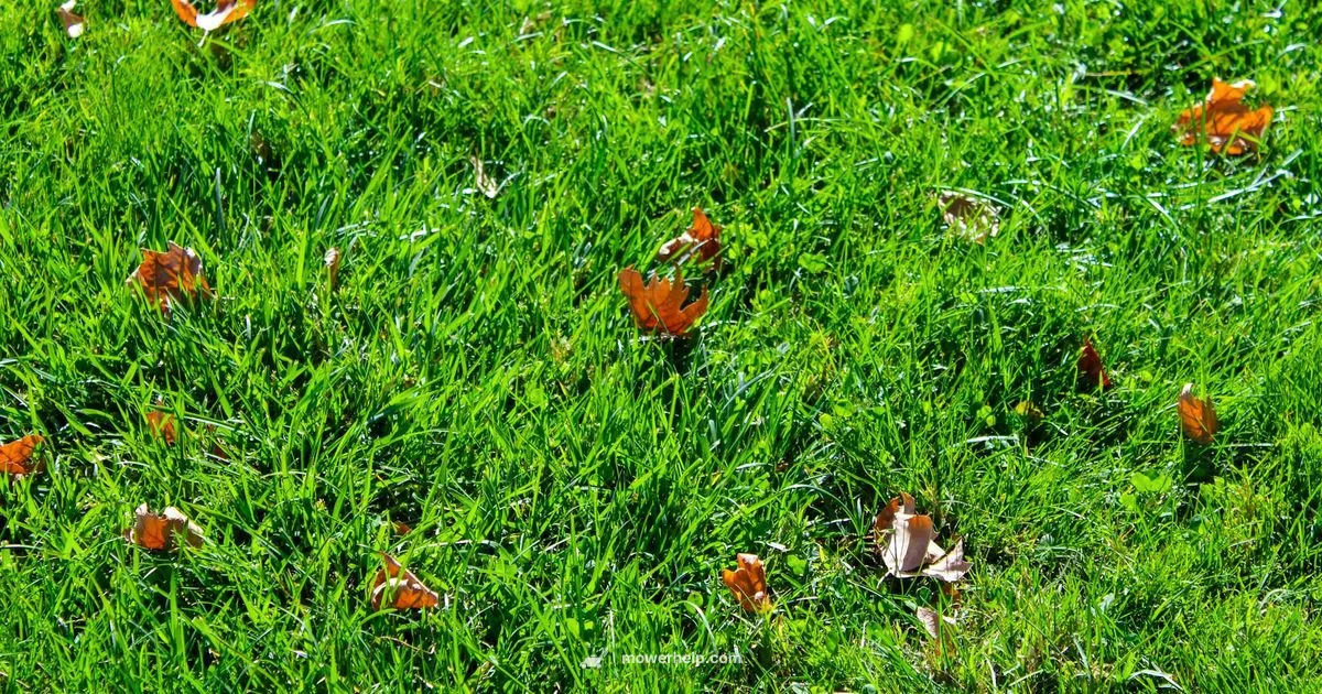 Mower Troubleshooting - Mower Help