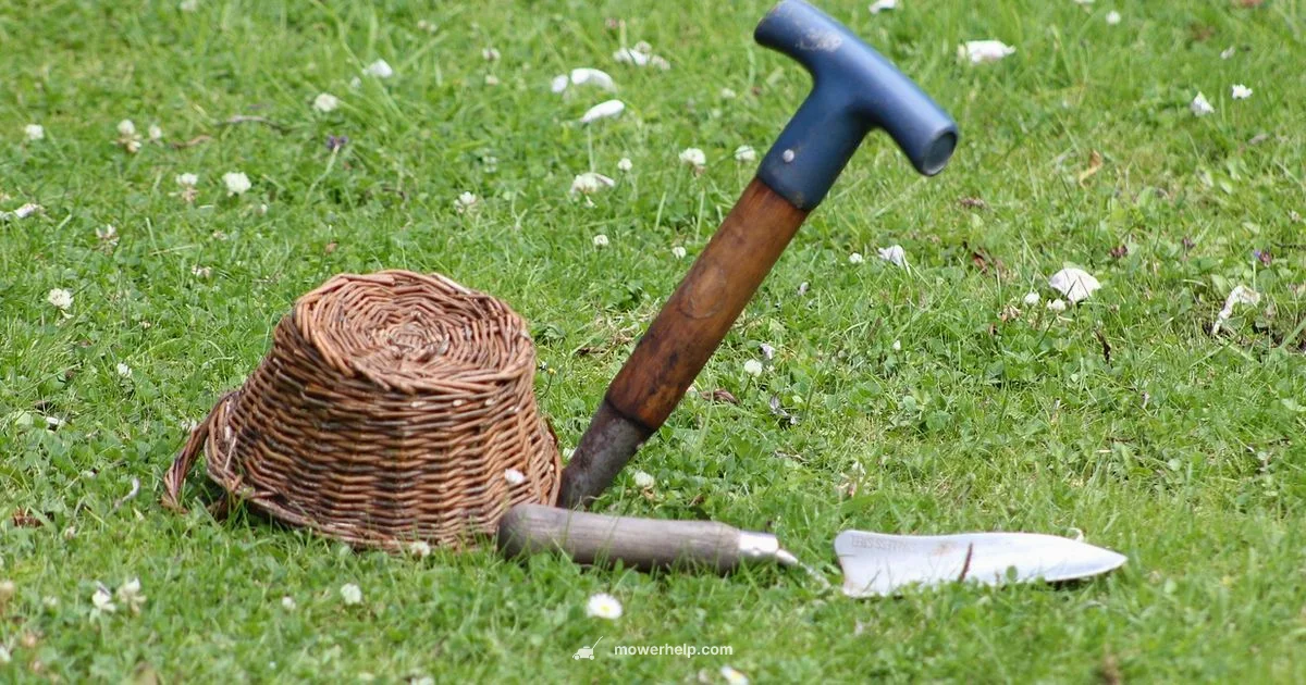 Top Mower Picks - Mower Help