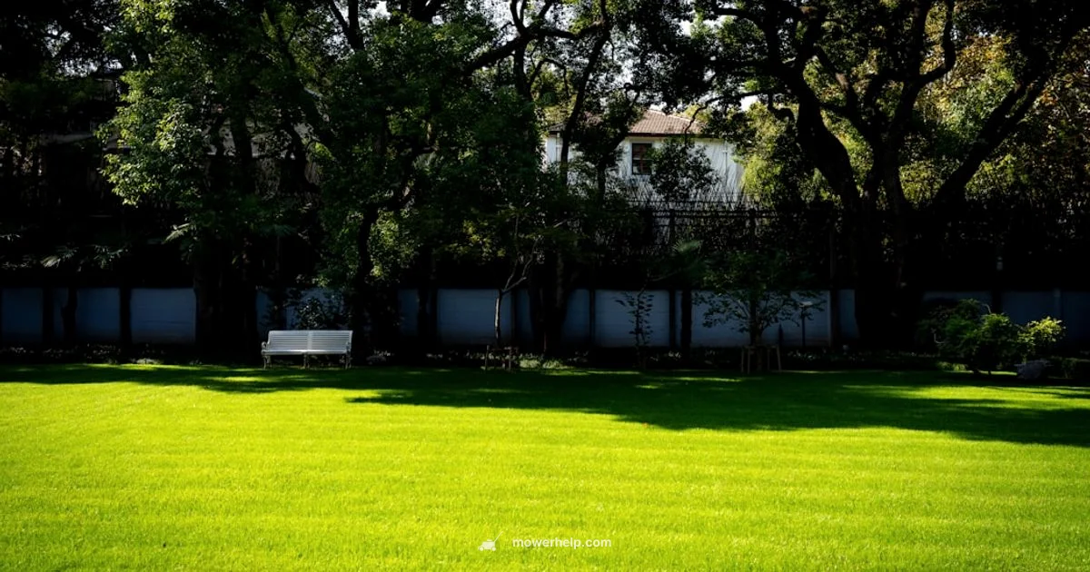 Stand-On Mower Guide Stand-On Mower Guide - Mower Help