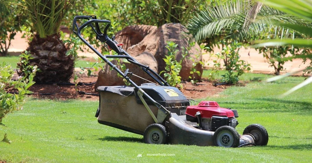 Riding Mower Rental Riding Mower Rental - Mower Help