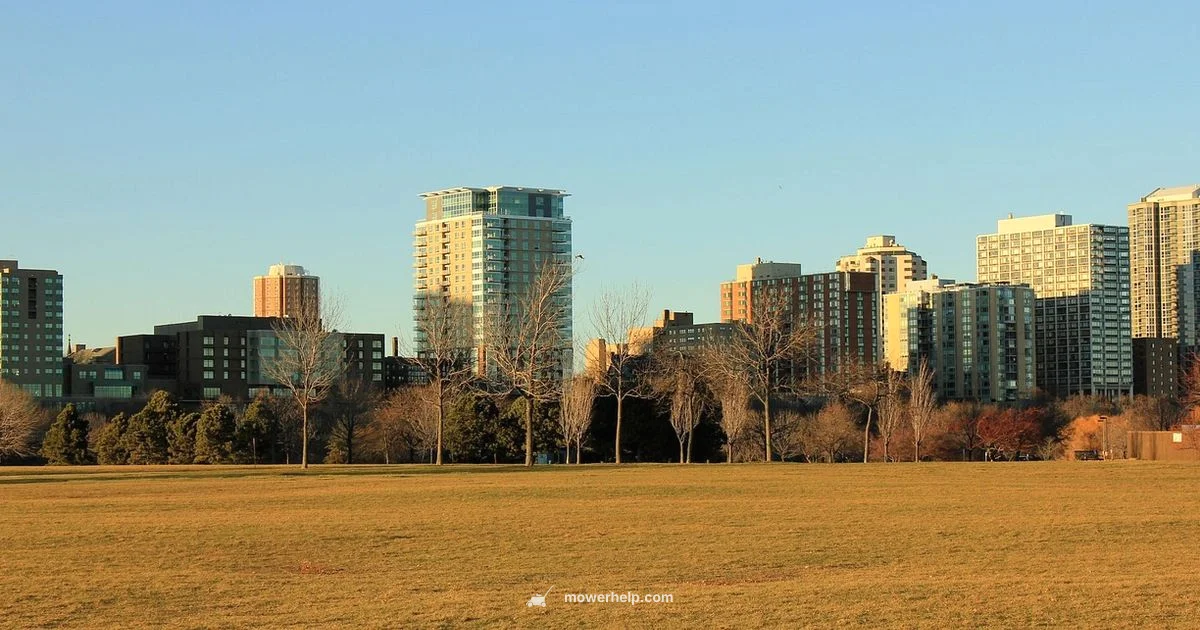 Milwaukee Cordless Mower - Mower Help