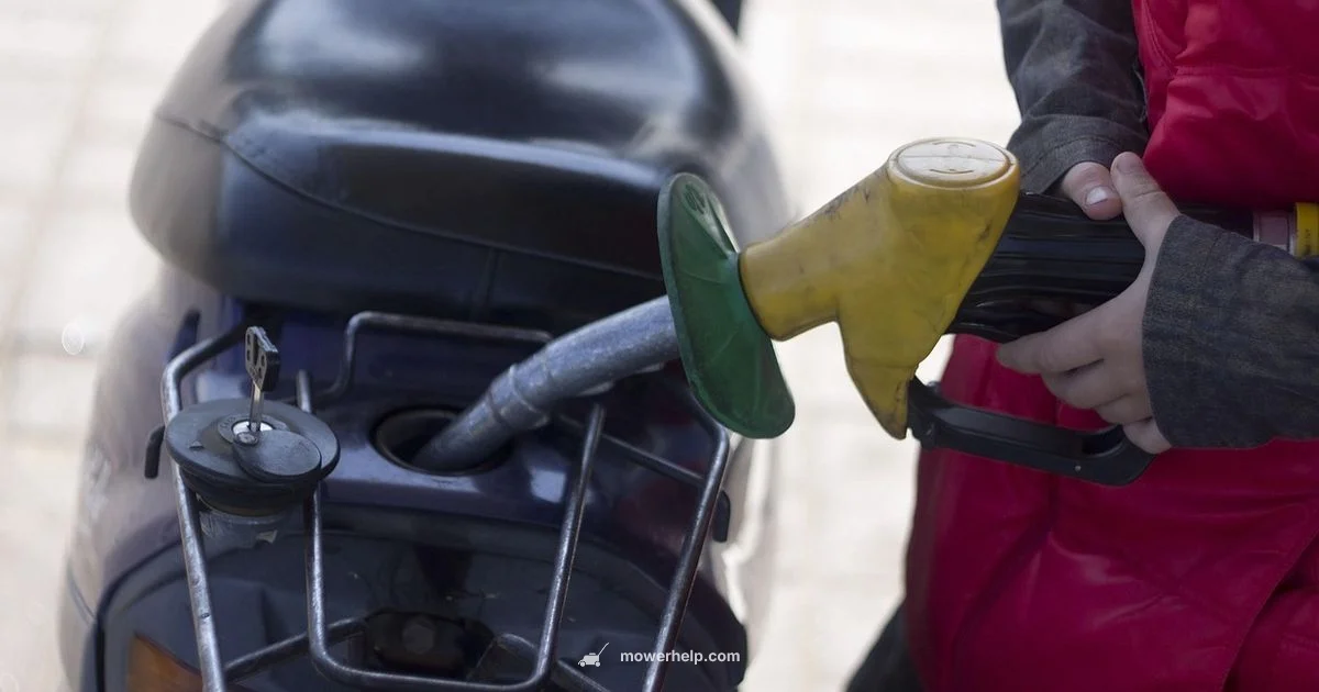 Gasoline Guide - Mower Help