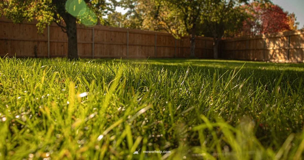 Tall Grass Guide - Mower Help