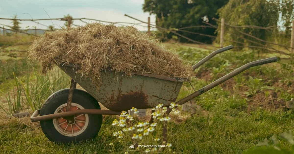 Bagged Lawn Guide - Mower Help