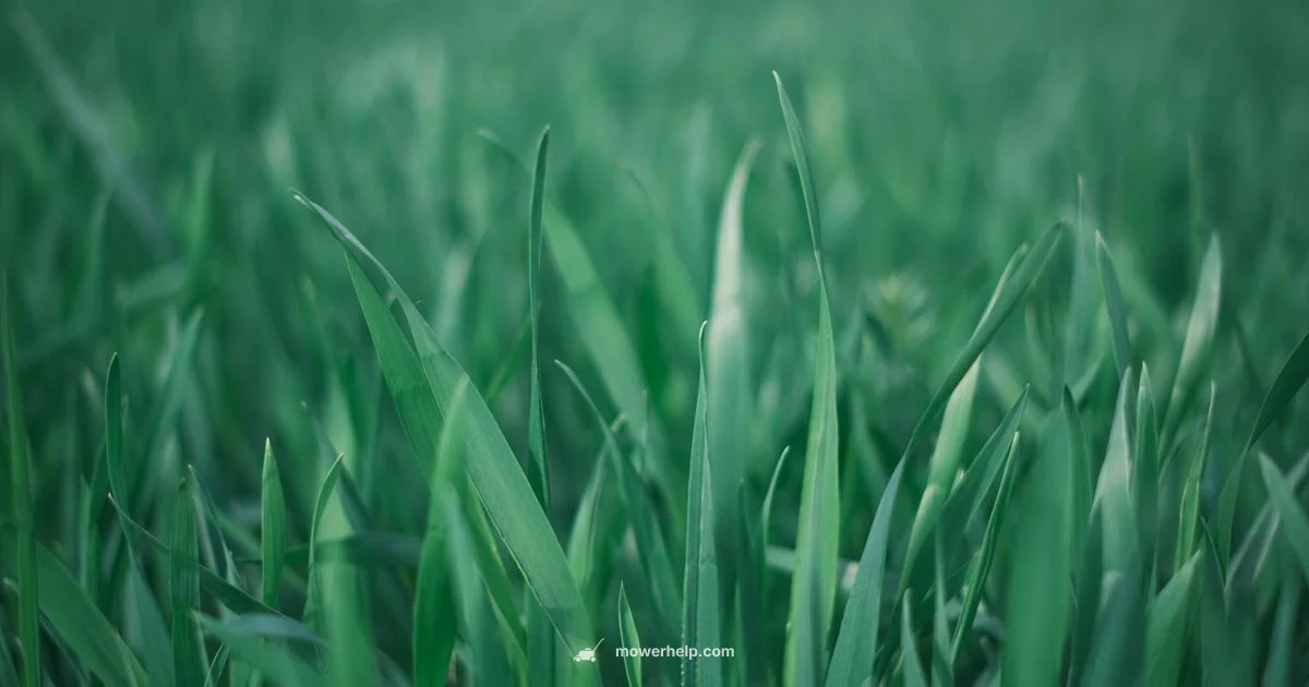 Automower 435x AWD Guide - Mower Help