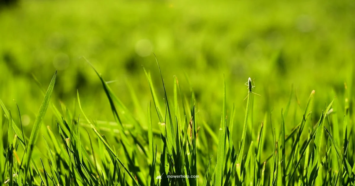 4-Acre Mowing Guide - Mower Help