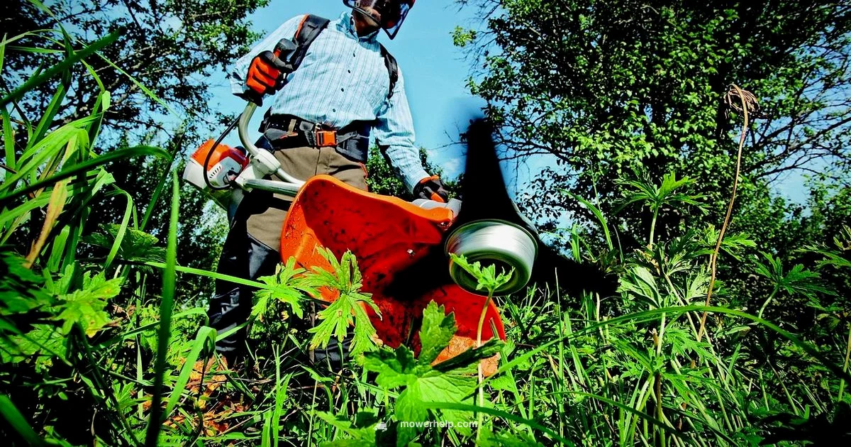 Mower Maintenance Guide - Mower Help