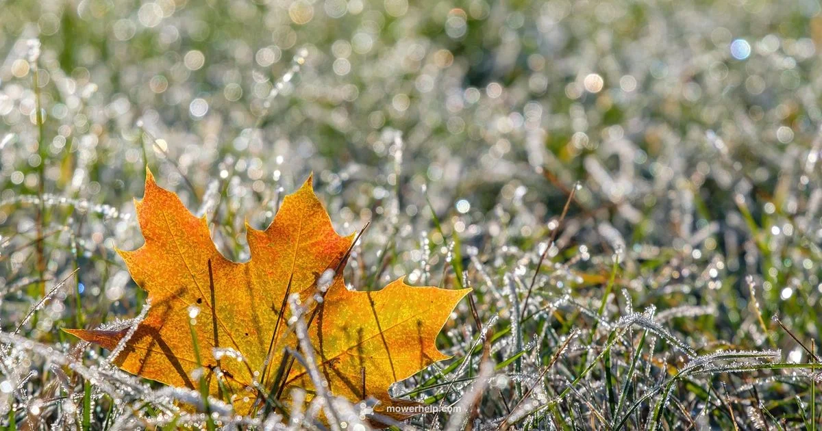 Late-Season Mowing - Mower Help