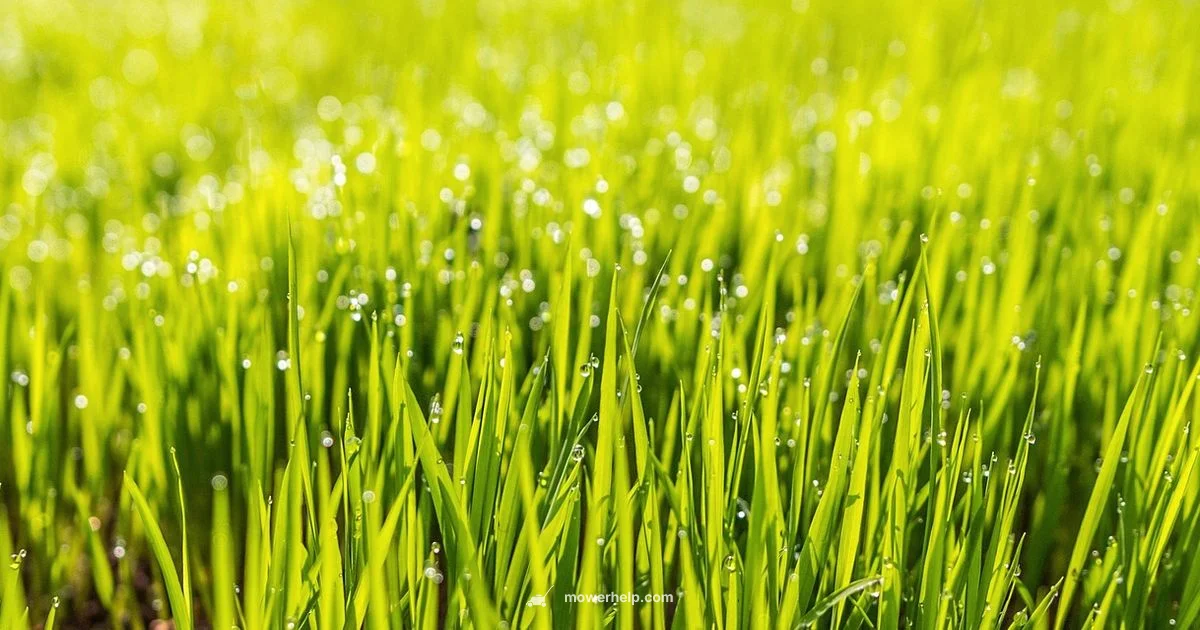 Naming Variants - Mower Help