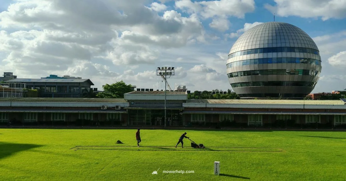 Lawn Mower Oil Guide Lawn Mower Oil Guide - Mower Help