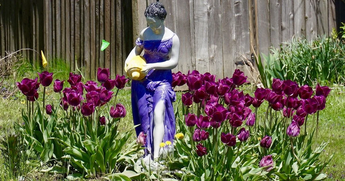 Manual Mower Basics - Mower Help