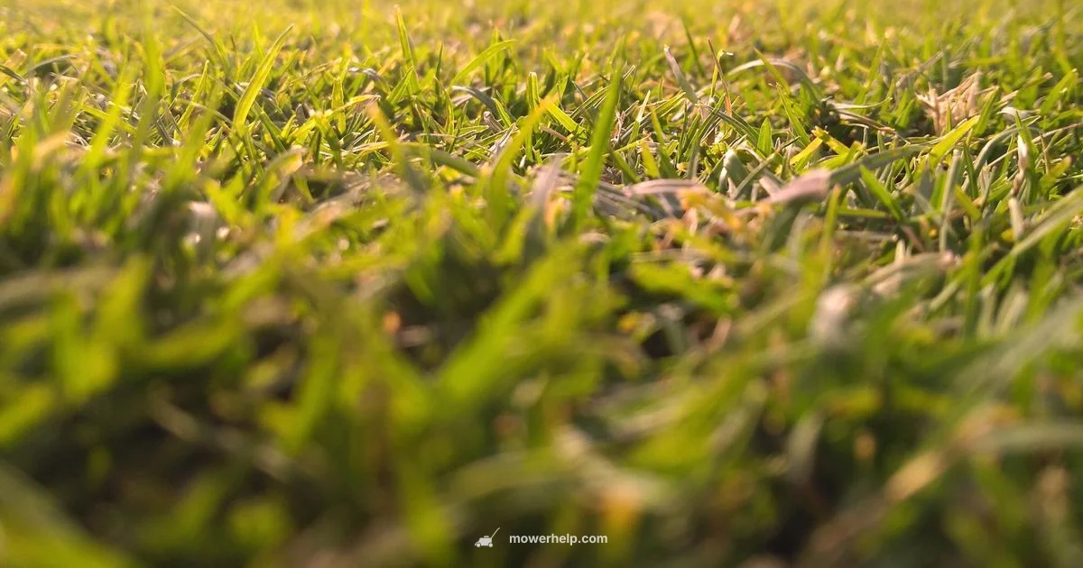 Mulching vs Regular Blade - Mower Help