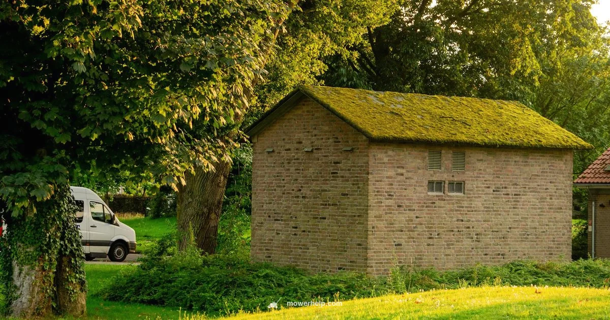 Oil Guide for Mowers Oil Guide for Mowers - Mower Help