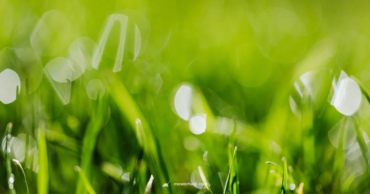 Honda Wheel Basics - Mower Help