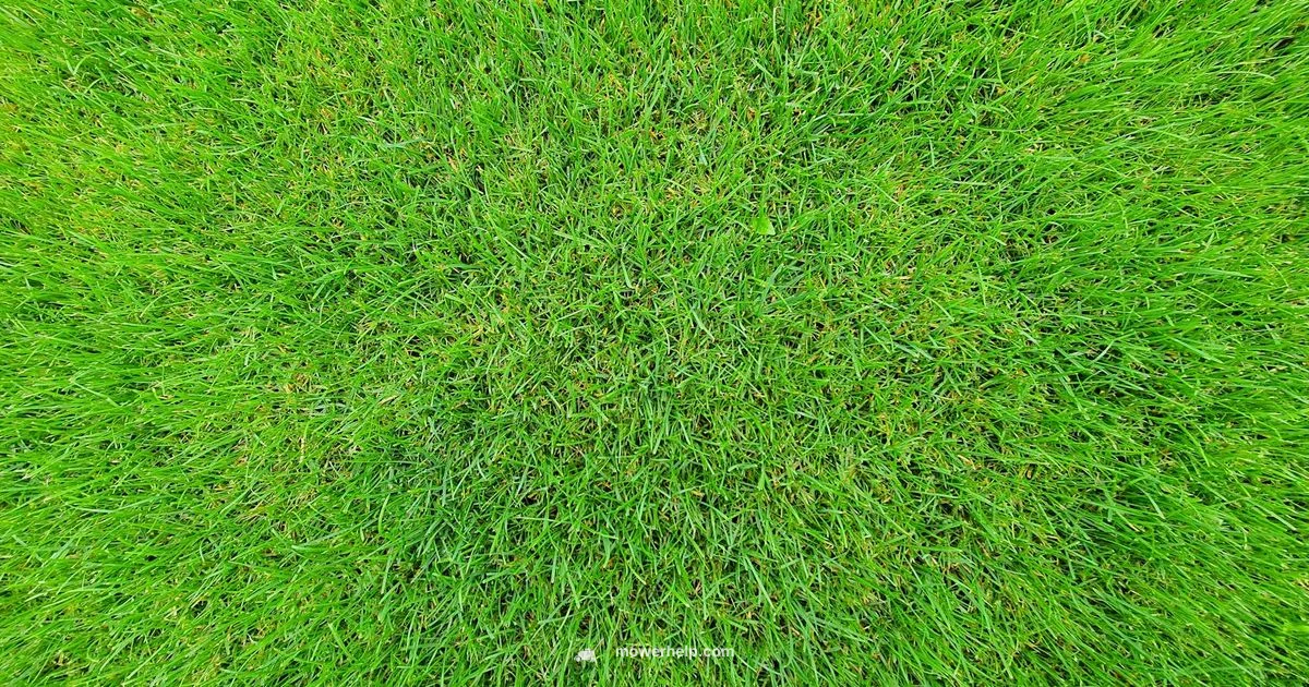 LX420 Care Guide - Mower Help