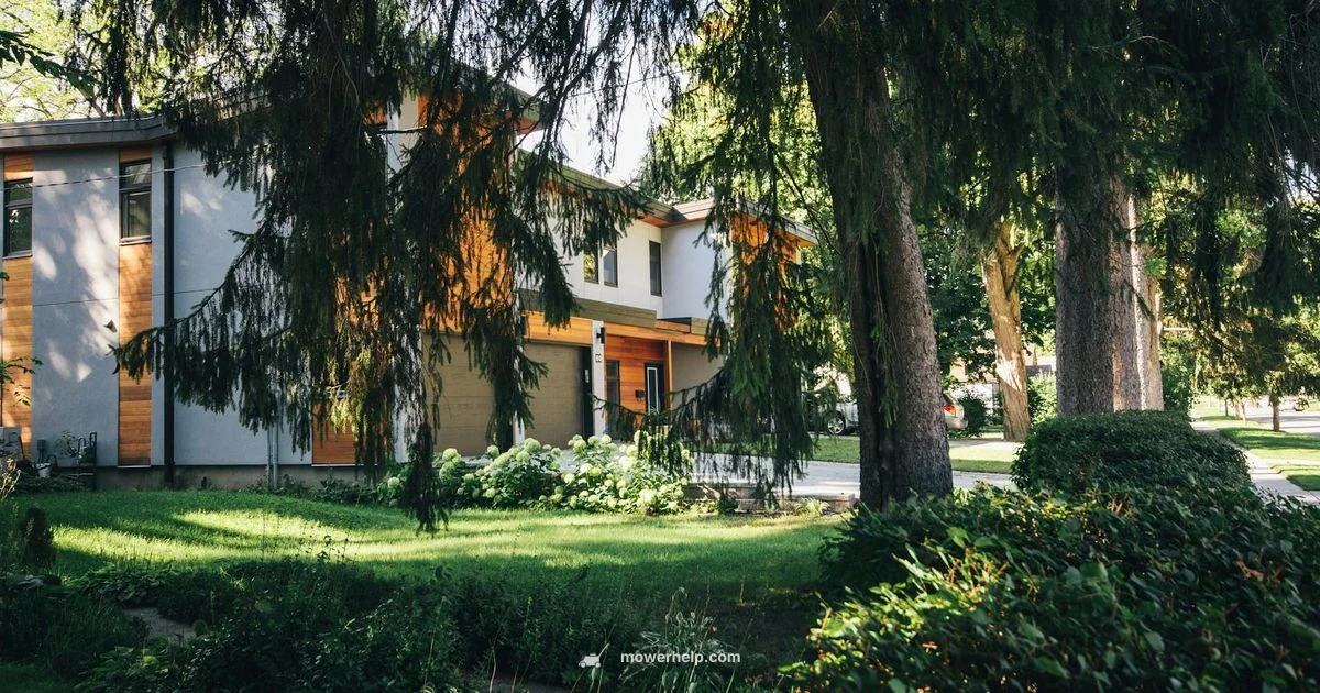 Mower Care Mower Care - Mower Help