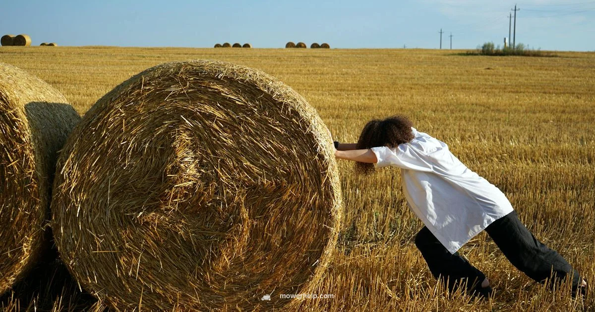 Push Electric Mower Guide - Mower Help