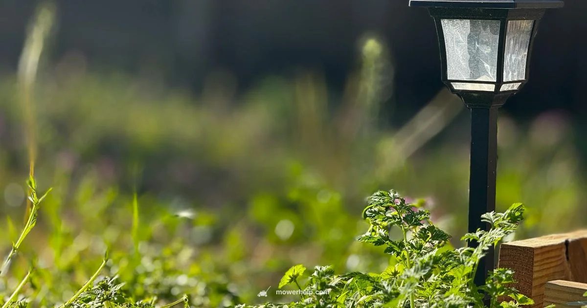 Greenworks 80V Guide - Mower Help