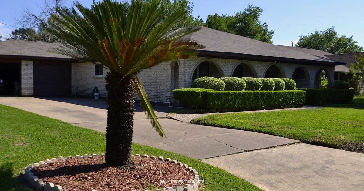 Lawn Grass Cutter Guide - Mower Help