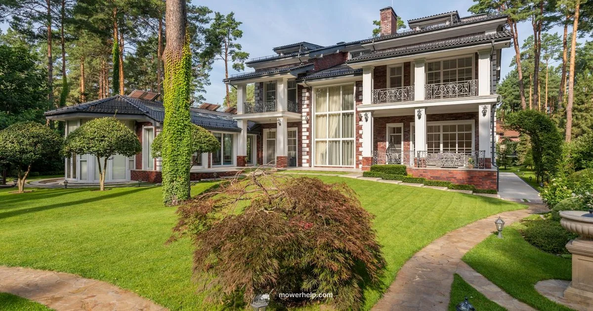 Mowed Lawn Mastery - Mower Help