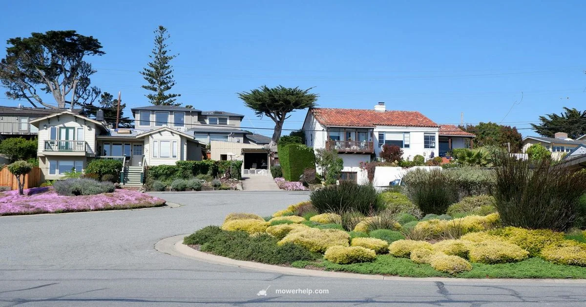 Top Walk-Behind Picks Top Walk-Behind Picks - Mower Help