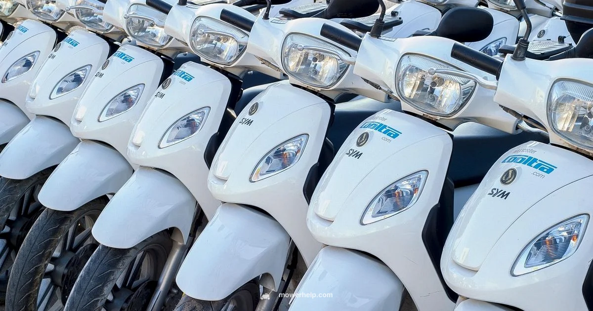 No-Credit Mower Rent No-Credit Mower Rent - Mower Help