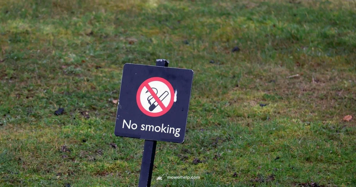 Stop Mower Smoke Stop Mower Smoke - Mower Help